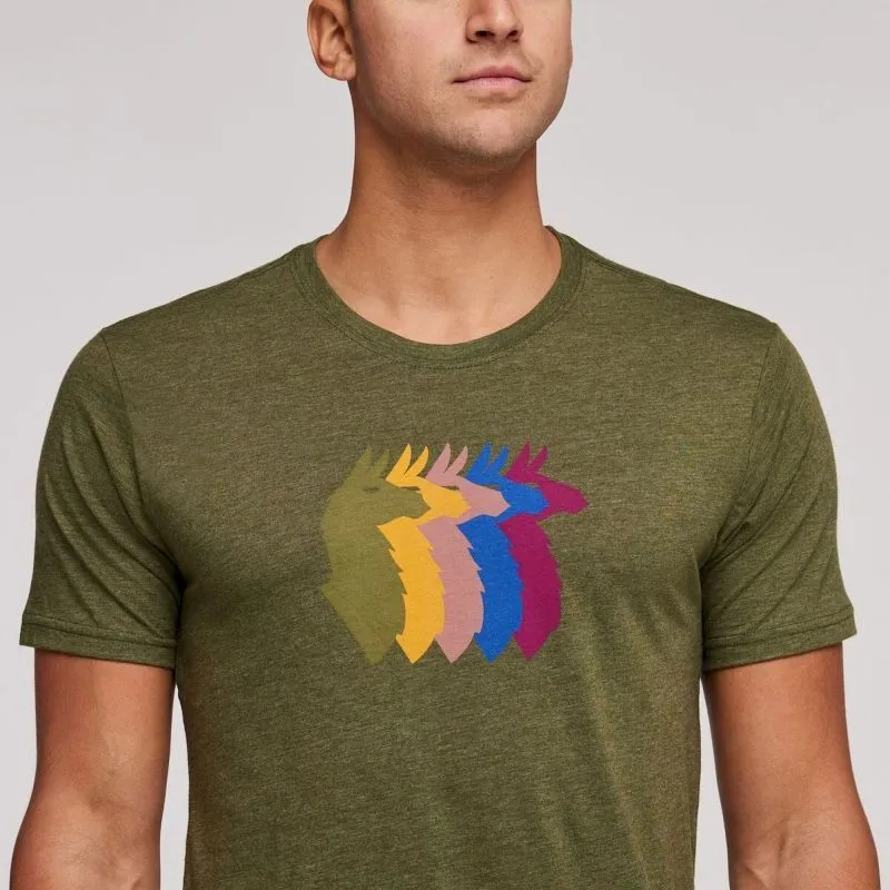 Cotopaxi  Llama Stripes Organic T-Shirt - T-shirt - Uomo