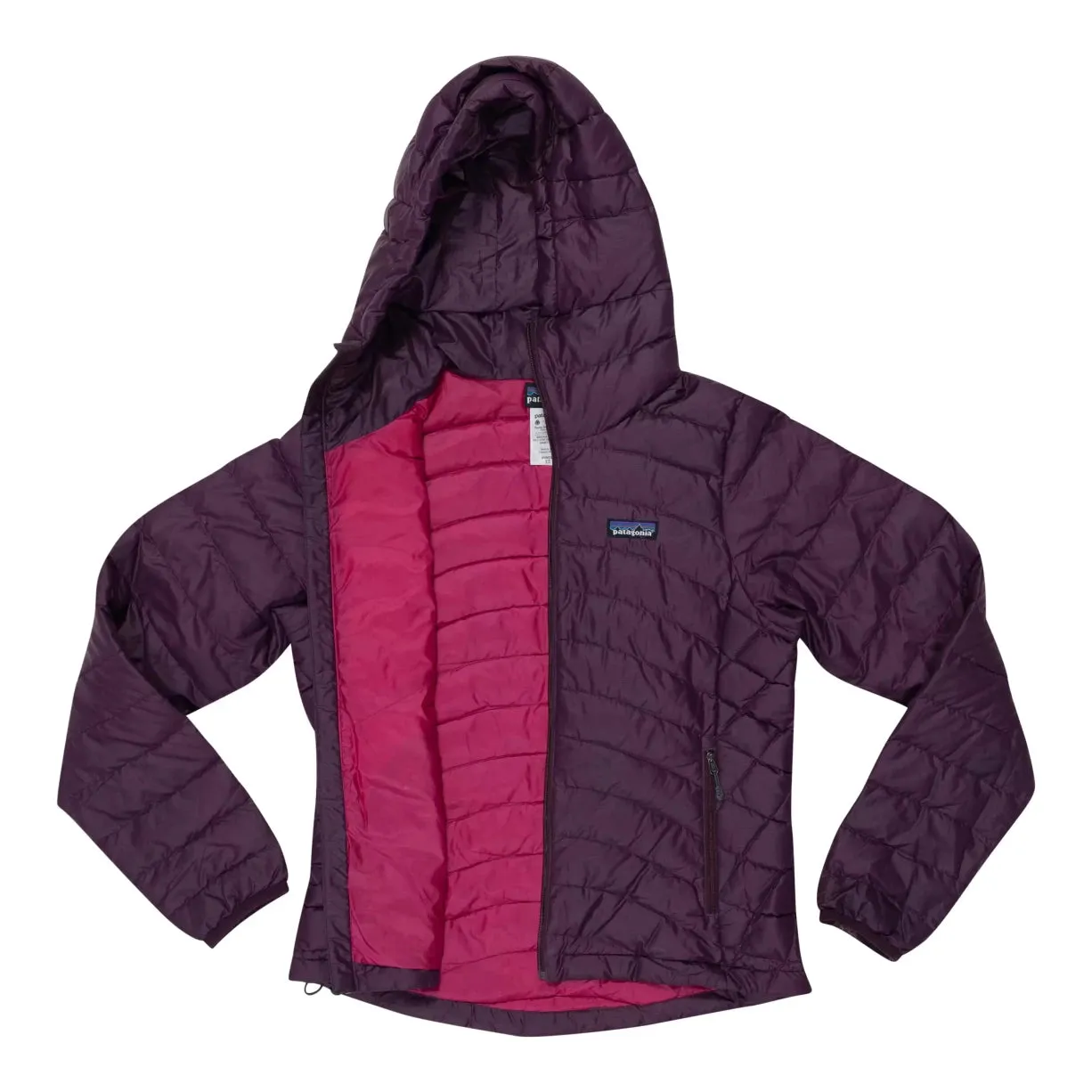 Patagonia Down Sweater Hoody